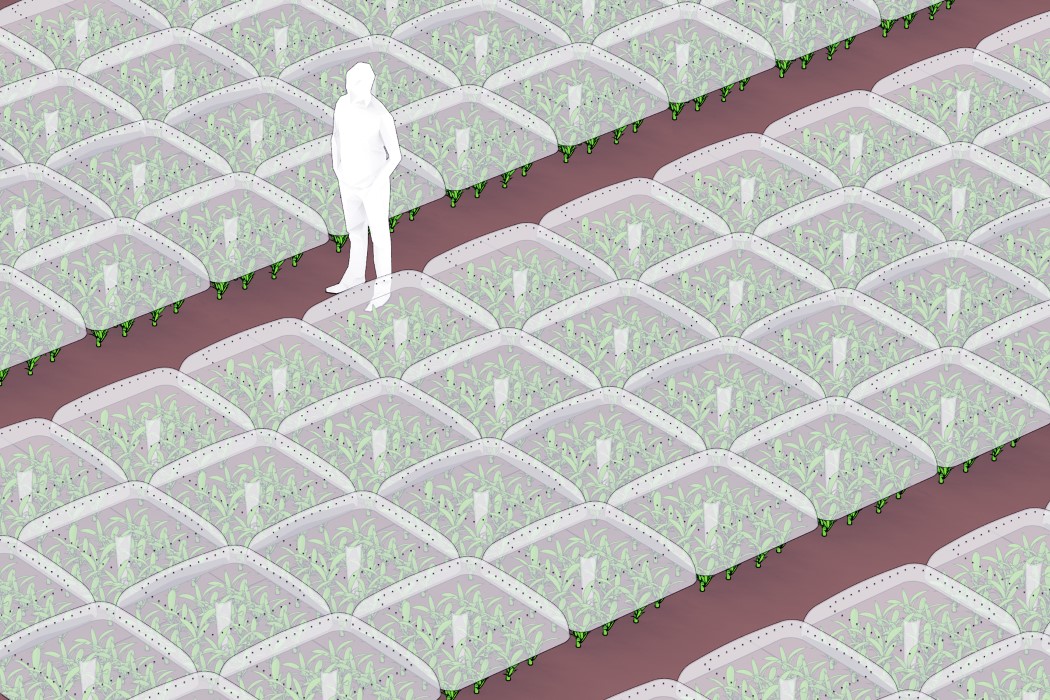 dome，greenhouse，Botany，Agriculture，