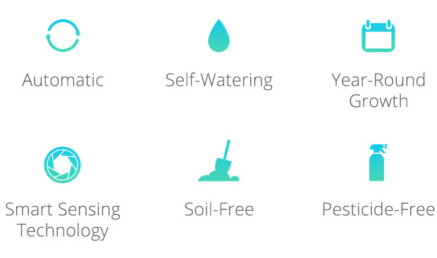 Intelligent planting，Indoor planting，Intelligent irrigation，Soilless culture，No pests，