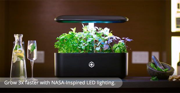 Intelligent planting，Indoor planting，Intelligent irrigation，Soilless culture，No pests，