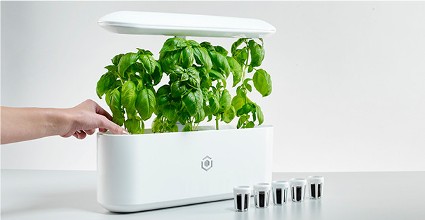 Intelligent planting，Indoor planting，Intelligent irrigation，Soilless culture，No pests，