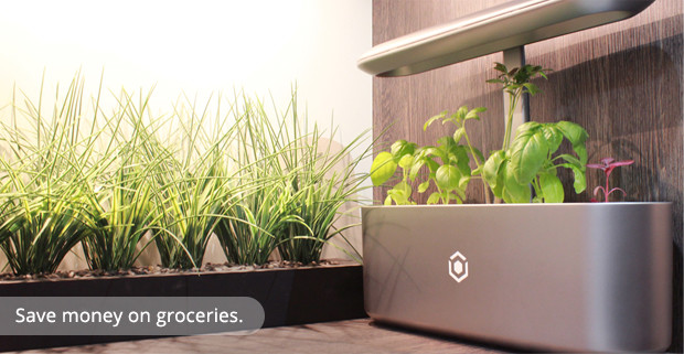 Intelligent planting，Indoor planting，Intelligent irrigation，Soilless culture，No pests，