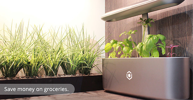 Intelligent planting，Indoor planting，Intelligent irrigation，Soilless culture，No pests，