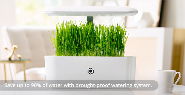 Intelligent planting，Indoor planting，Intelligent irrigation，Soilless culture，No pests，