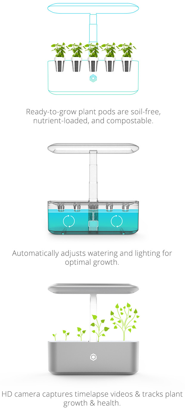 Intelligent planting，Indoor planting，Intelligent irrigation，Soilless culture，No pests，