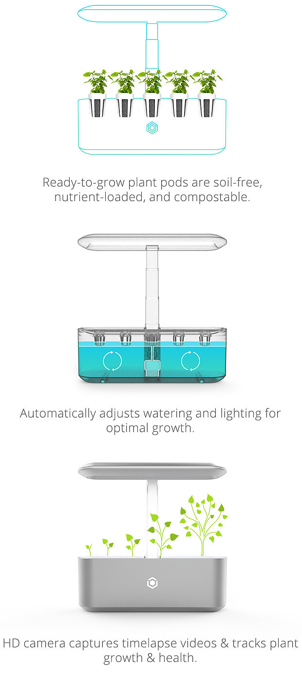 Intelligent planting，Indoor planting，Intelligent irrigation，Soilless culture，No pests，