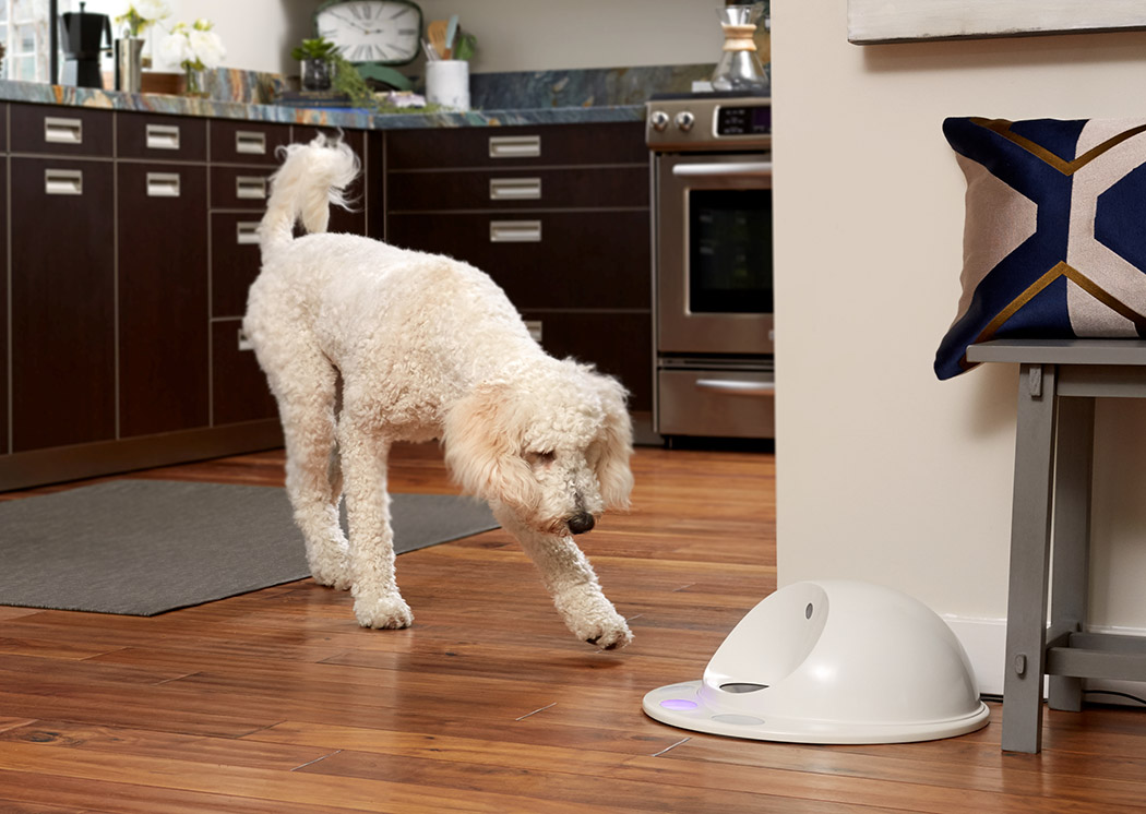 automatic pet feeder ，Interactive game console，Pet feeding，Pet toys，