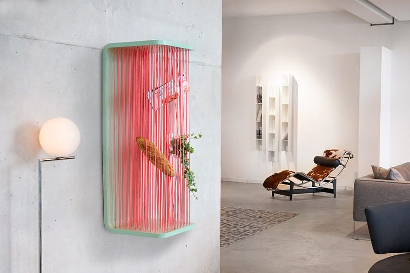 interest，Bird's nest，storeroom，Shelf，