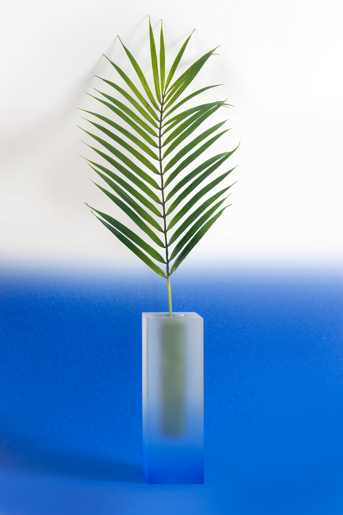 vase，beautiful，originality，furniture，