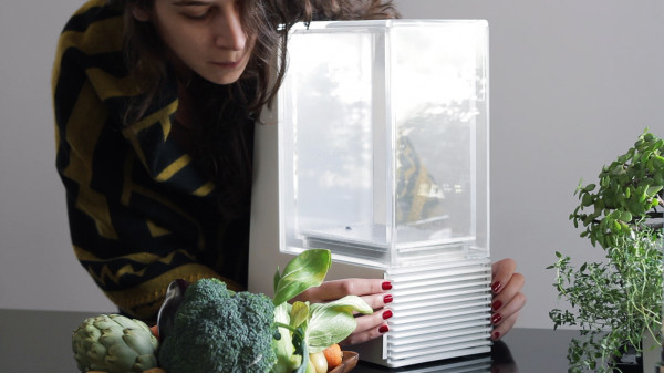 vacuum，low temperature，cooking，Modern cooking，Kitchen supplies，