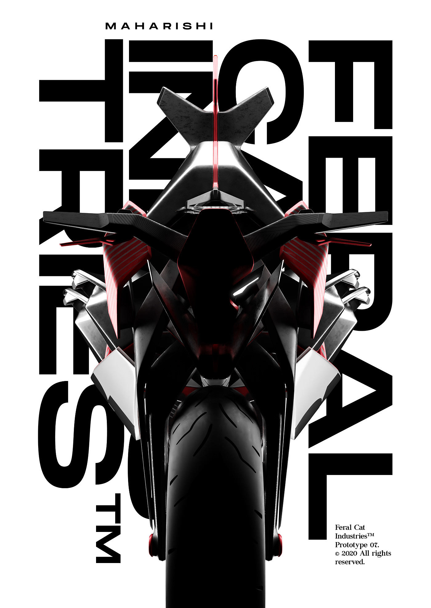 motorcycle，cat，racing，wildcat，