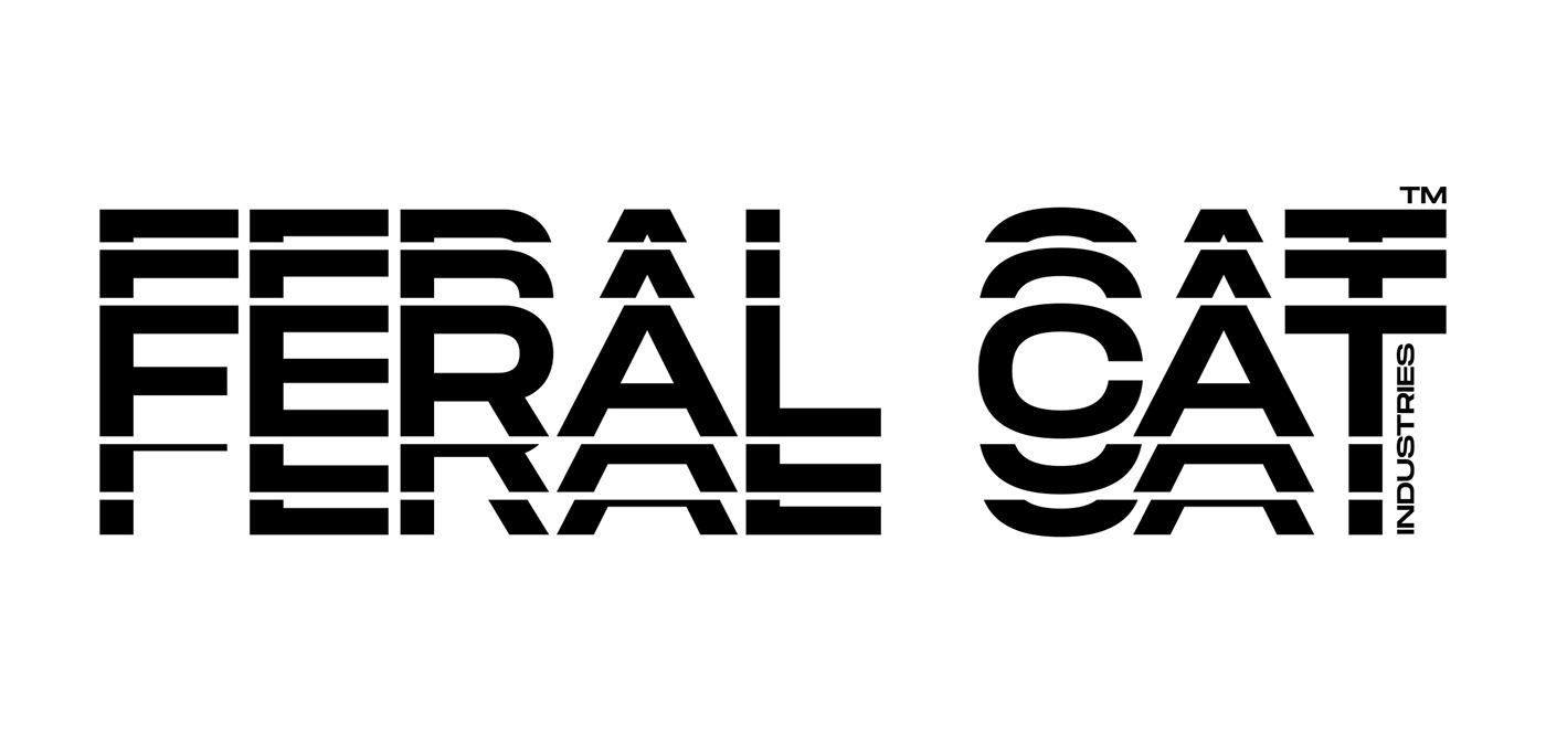 motorcycle，cat，racing，wildcat，