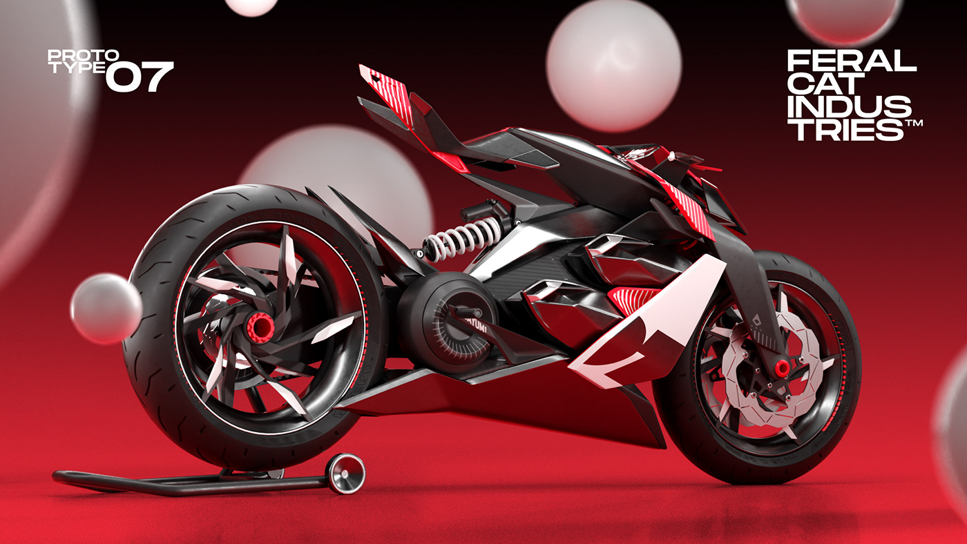 motorcycle，cat，racing，wildcat，