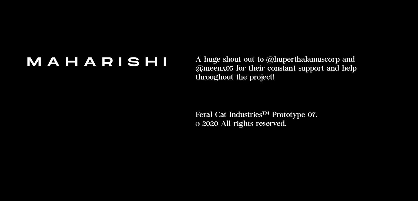 motorcycle，cat，racing，wildcat，