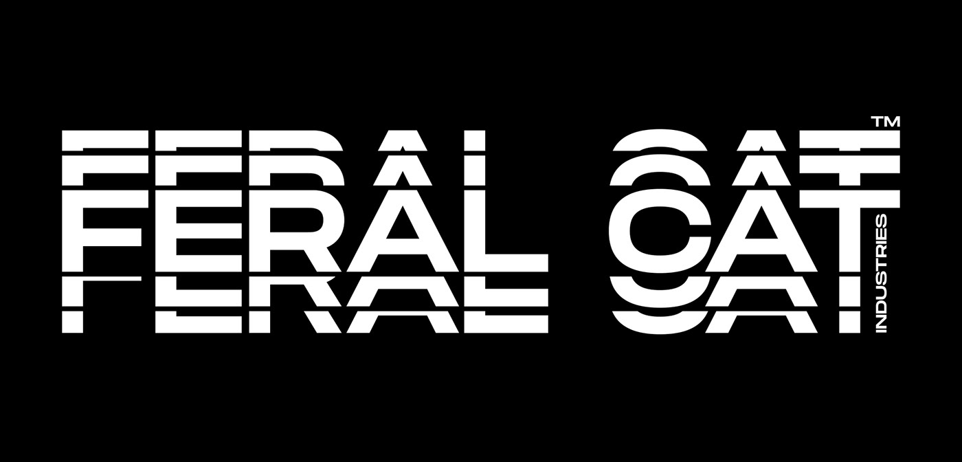 motorcycle，cat，racing，wildcat，