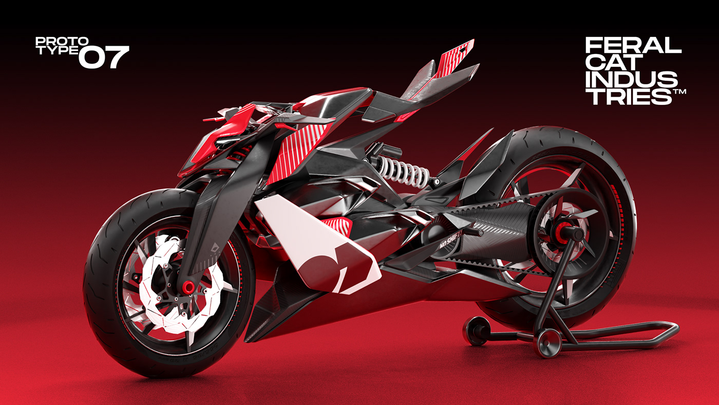 motorcycle，cat，racing，wildcat，