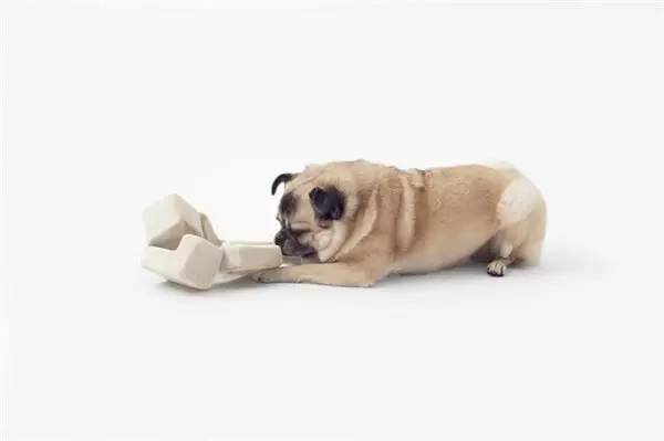 Design collection，Home design，Office design，furniture design ，Creative design，