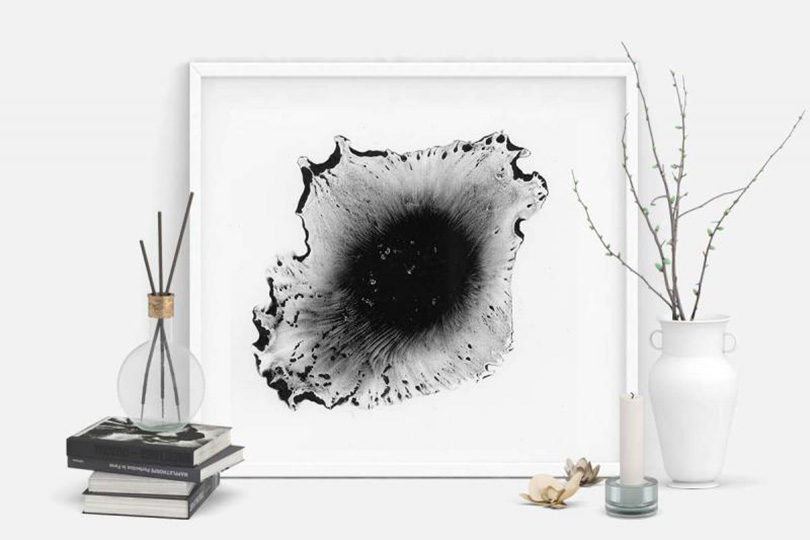 vibrato，draw，Trill，Audio recording sound wave，scanning，