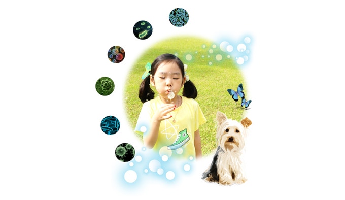 Low energy consumption，Intelligent electric appliance，Personal space，air cleaner，