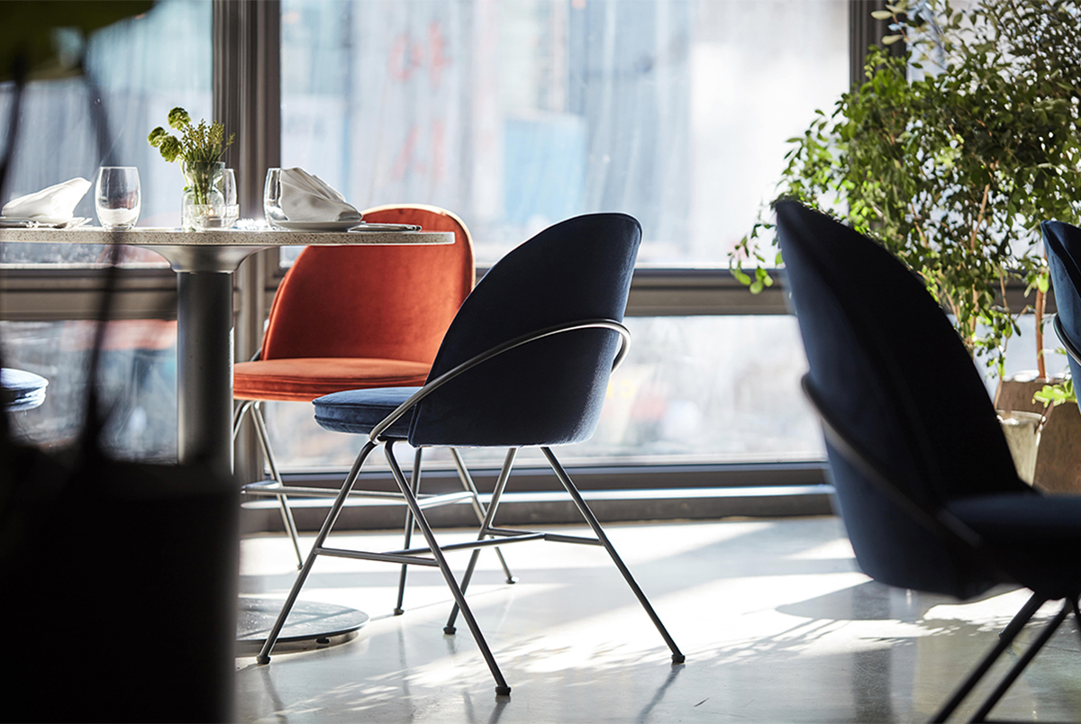 furniture design ，Gisele Gisele，Dining chair，sofa，deck chair，Bar chair，Ballet，