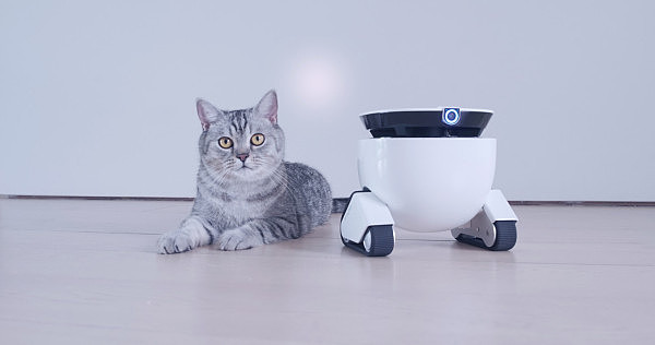 roboming，intelligence，robot，HD camera，