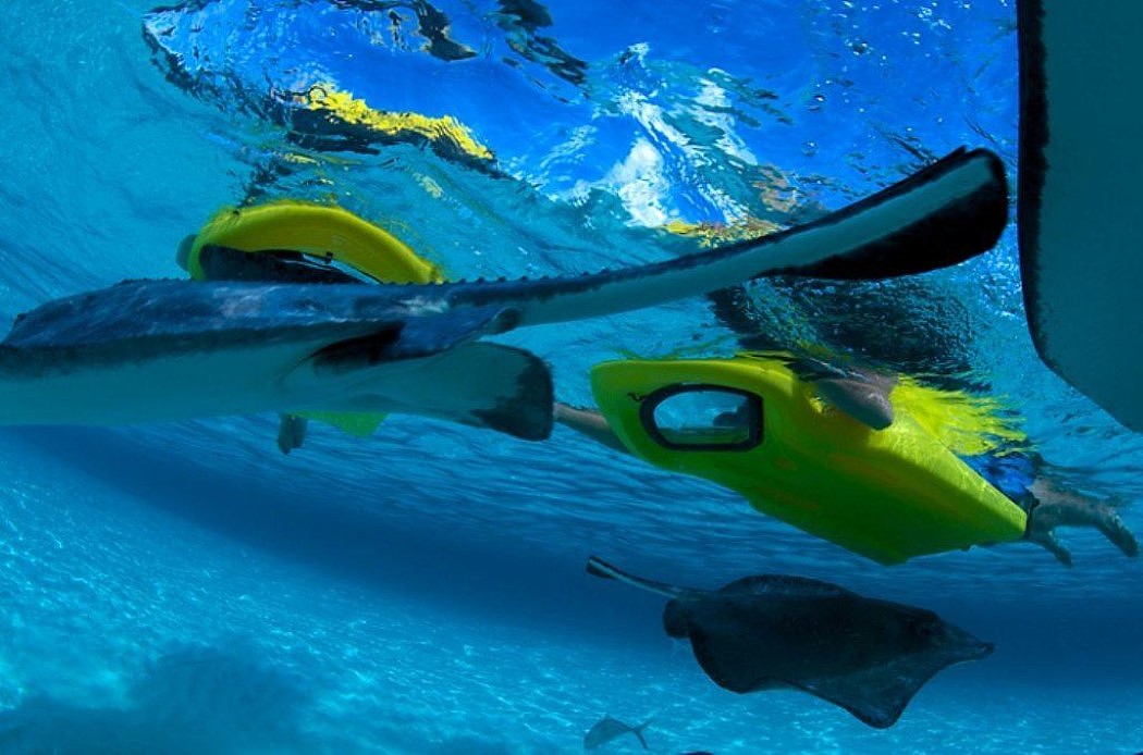 Snorkeling，Submersible，No skill required，Strong applicability，