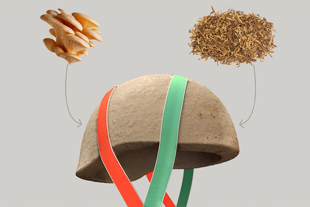 Helmet，Outdoor equipment，Children's products，Environmental protection material，