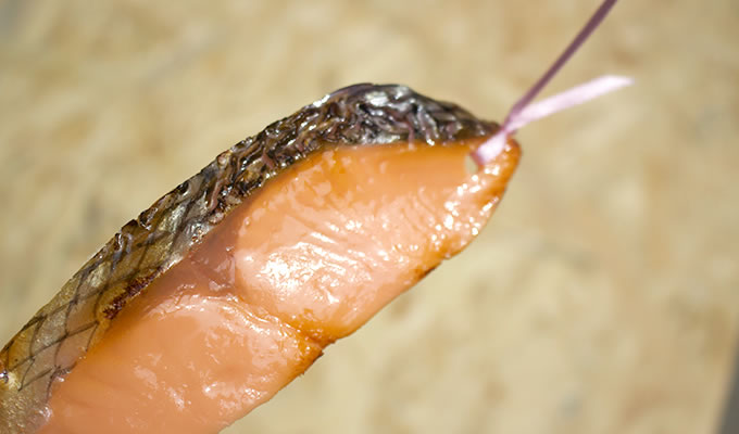 bookmark，originality，food，convenient，