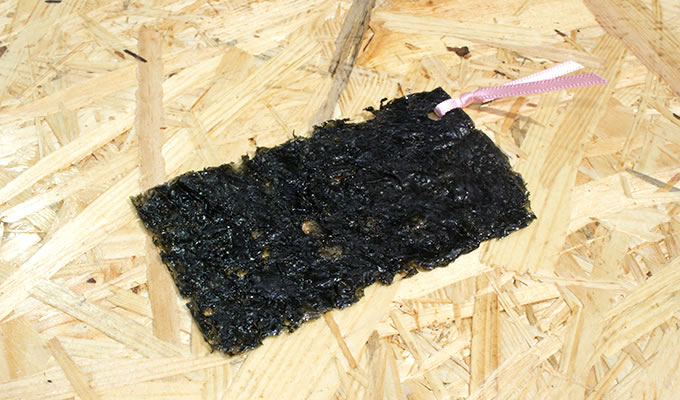 bookmark，originality，food，convenient，