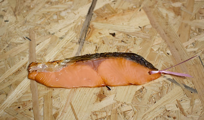 bookmark，originality，food，convenient，