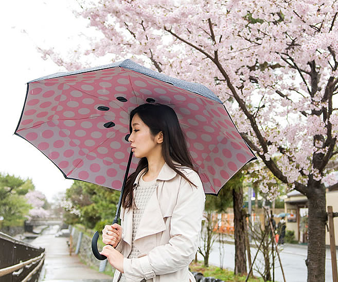 Umbrella，Umbrella retraction，color，originality，facilitate，