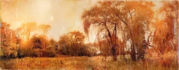 Photography，painting，Art，Photo，originality，