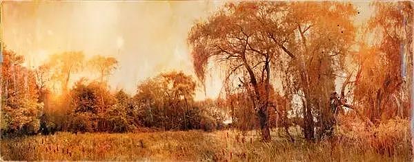 Photography，painting，Art，Photo，originality，