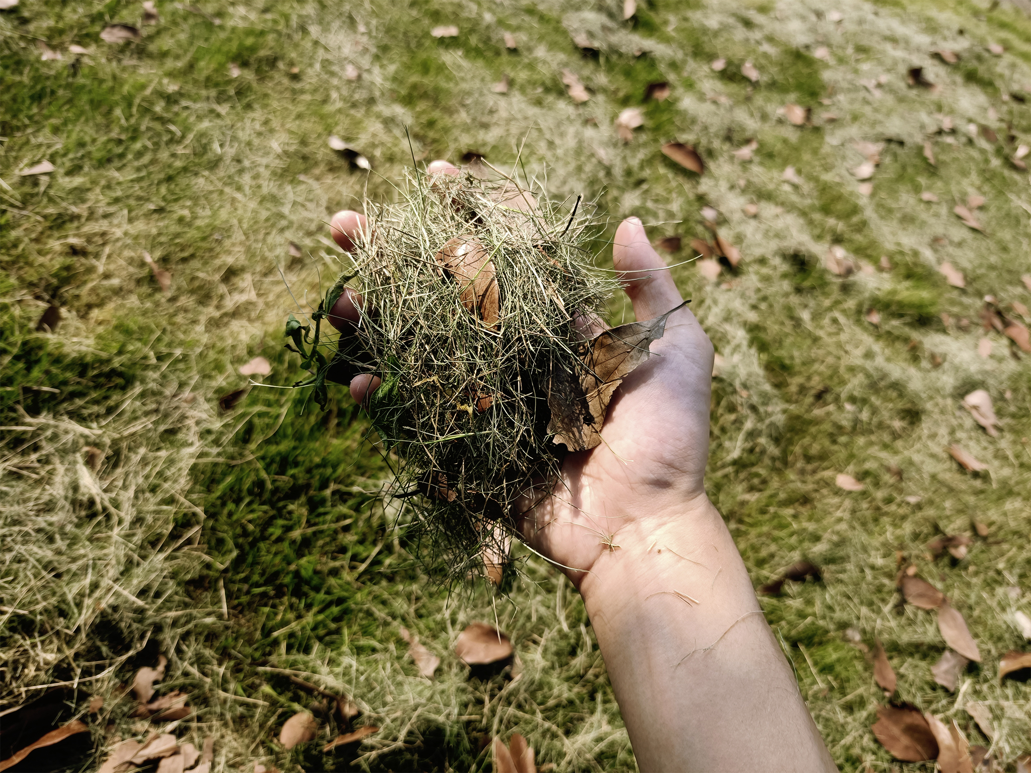 2020 works collection，