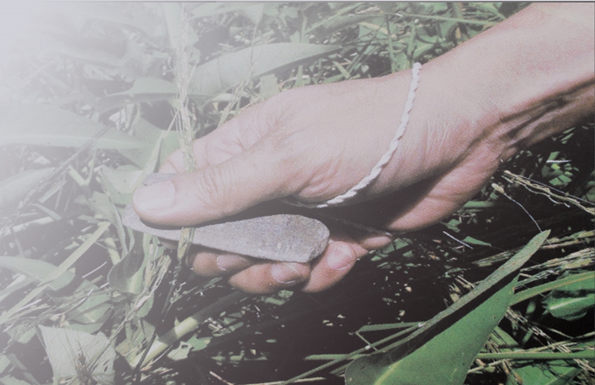 2020 works collection，