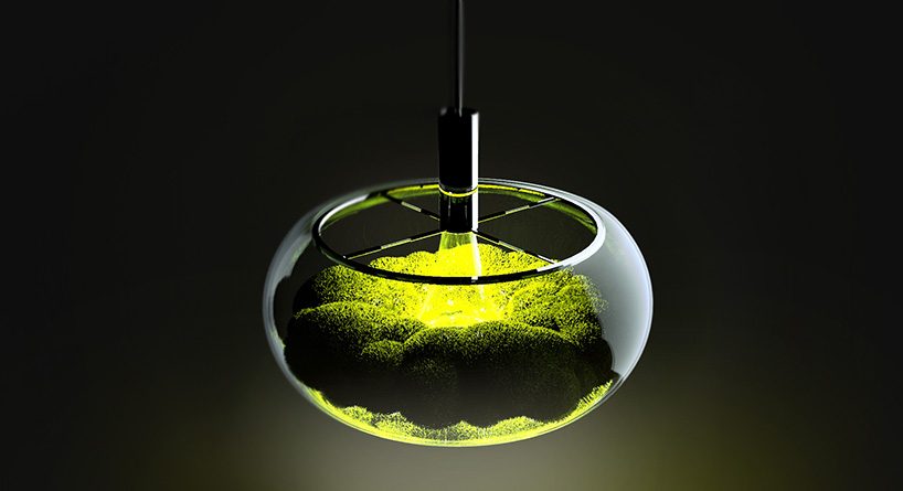 mosslamp，Plant lamp，nature，green，inside the city，