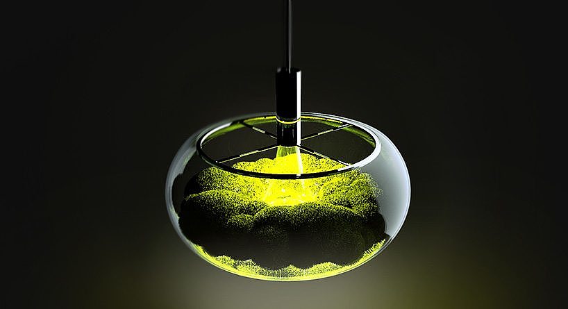 mosslamp，Plant lamp，nature，green，inside the city，