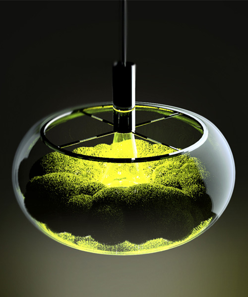 mosslamp，Plant lamp，nature，green，inside the city，