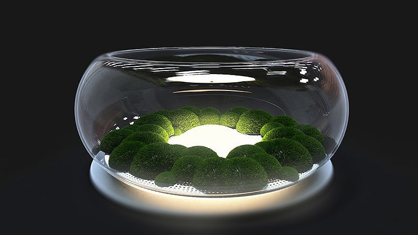 mosslamp，Plant lamp，nature，green，inside the city，