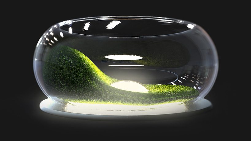 mosslamp，Plant lamp，nature，green，inside the city，