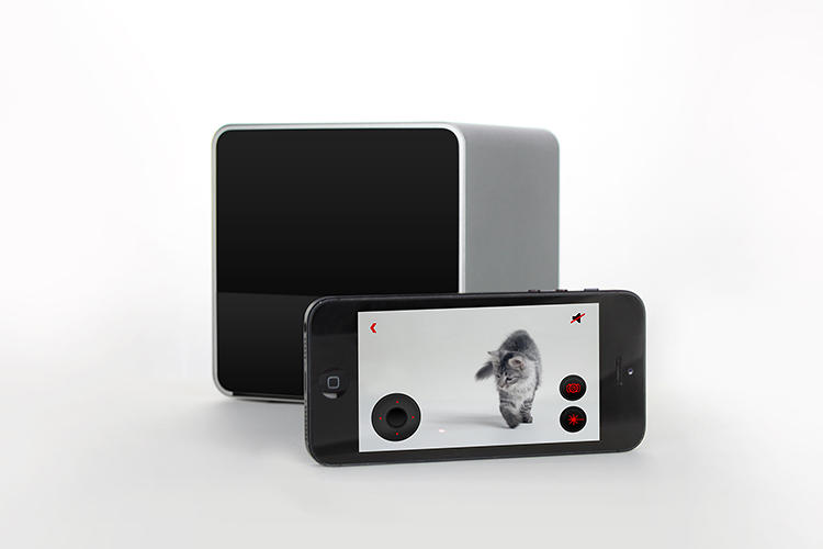 Pets，Digital technology，monitor，Camera，