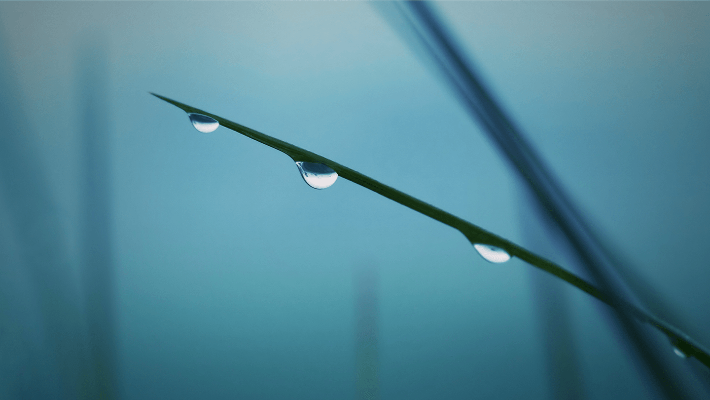 Water purifier，Reduce unnecessary space，Leaf bending design，