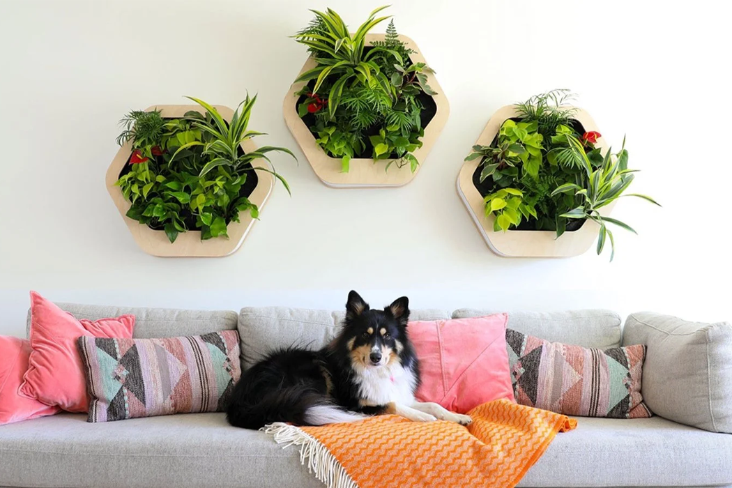 Gromeo，Micro residential wall system，Botany，