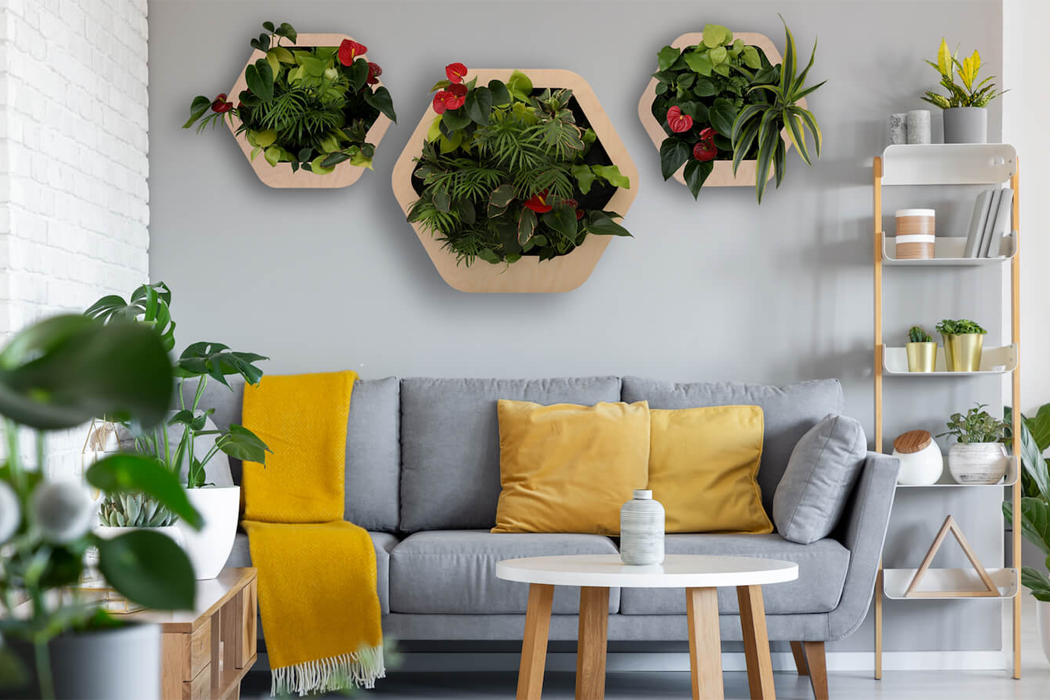 Gromeo，Micro residential wall system，Botany，