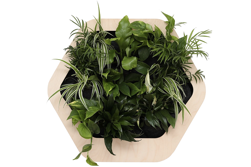 Gromeo，Micro residential wall system，Botany，