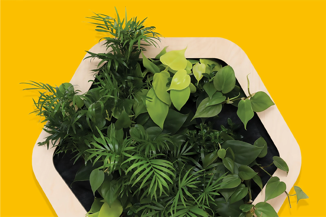 Gromeo，Micro residential wall system，Botany，