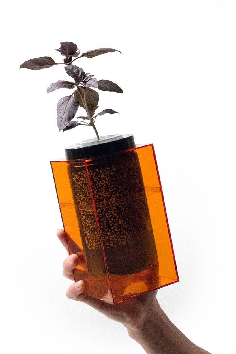 Grow vegetables，nasa，Organic vegetables，plant，Fruits，