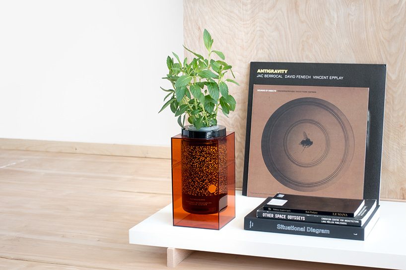 Grow vegetables，nasa，Organic vegetables，plant，Fruits，