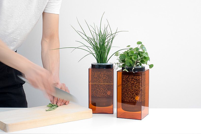 Grow vegetables，nasa，Organic vegetables，plant，Fruits，