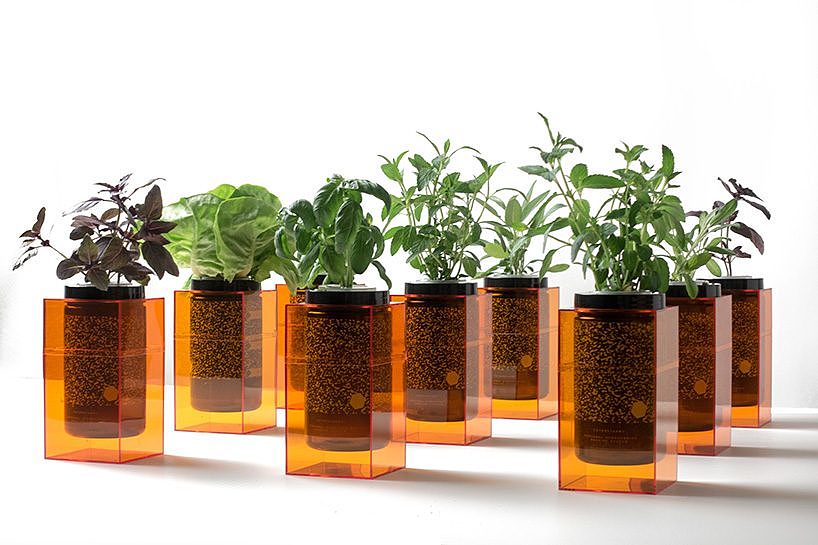 Grow vegetables，nasa，Organic vegetables，plant，Fruits，