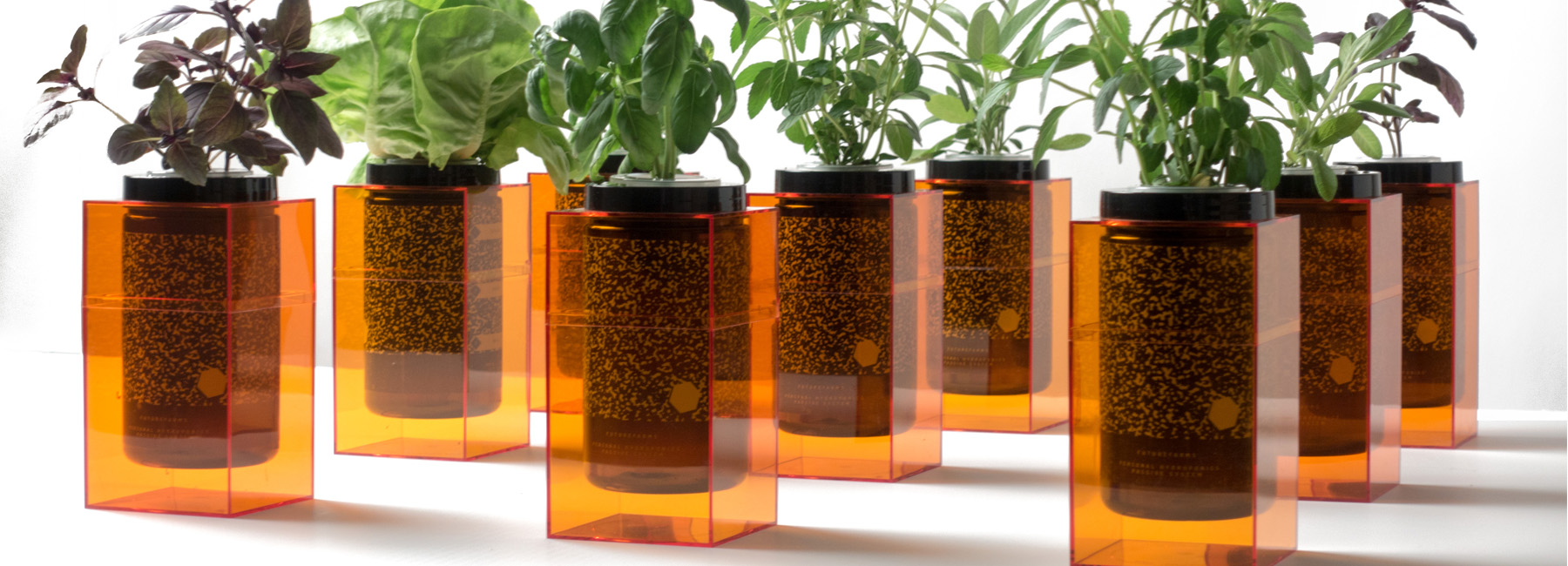 Grow vegetables，nasa，Organic vegetables，plant，Fruits，